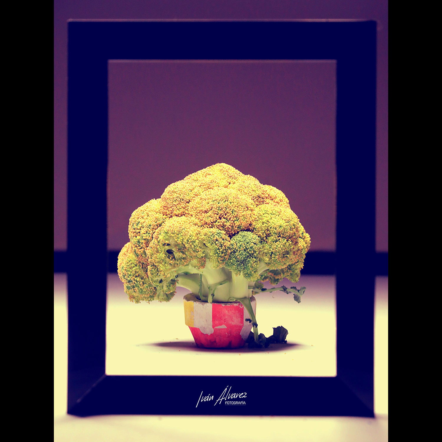 ARTÍSTICA&amp;CONCEPTUAL